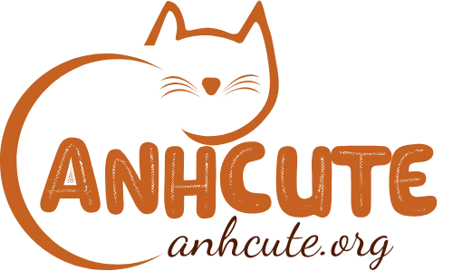 anhcute.org